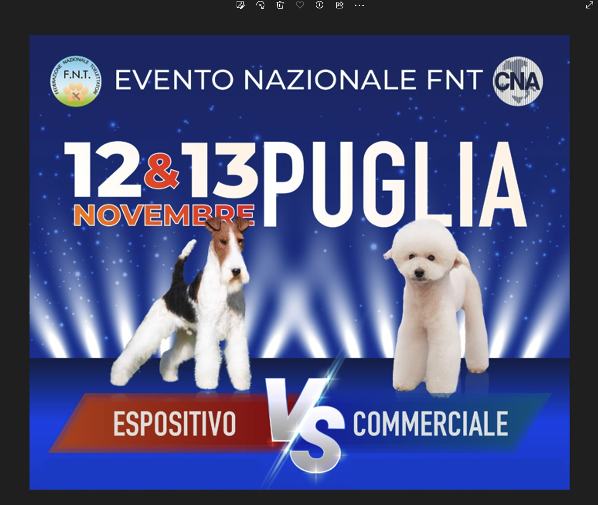 espositivo vs commerciale