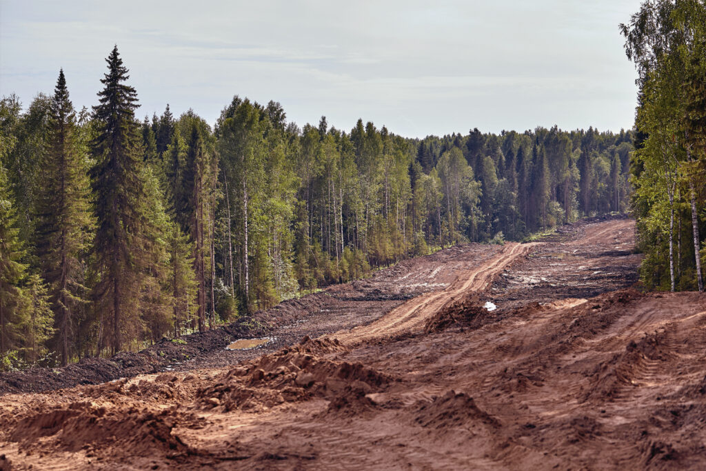 Webinar “Il regolamento UE 2023/1115 sulla deforestazione”