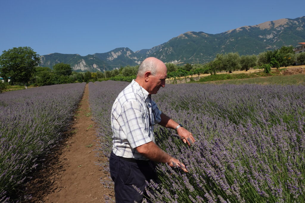 Circular agriculture, from bees to lavender